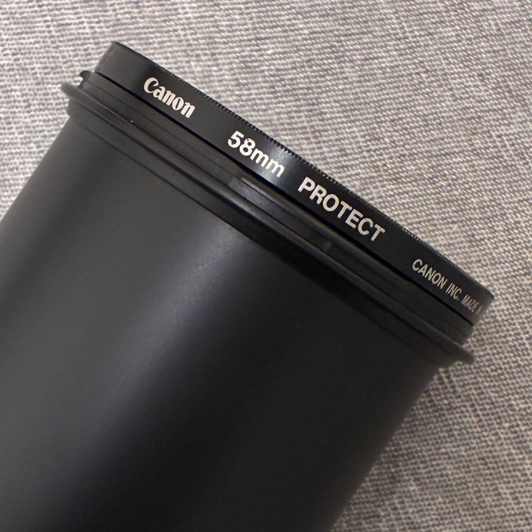 ⭐️美品⭐️キャノン Canon EF-S 55-250mm IS II 望遠レンズ