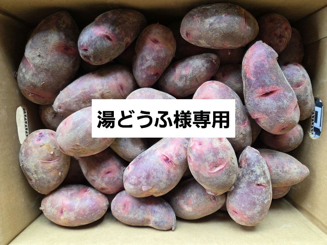 湯どうふ！長崎県産デストロイヤーじゃがいも、俵マゼラン各10㎏　計20㎏
