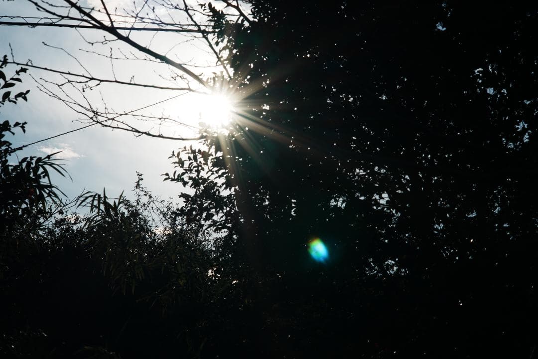 【整備＆テスト】Nikon Ai-s Nikkor 105mm F2.5 899