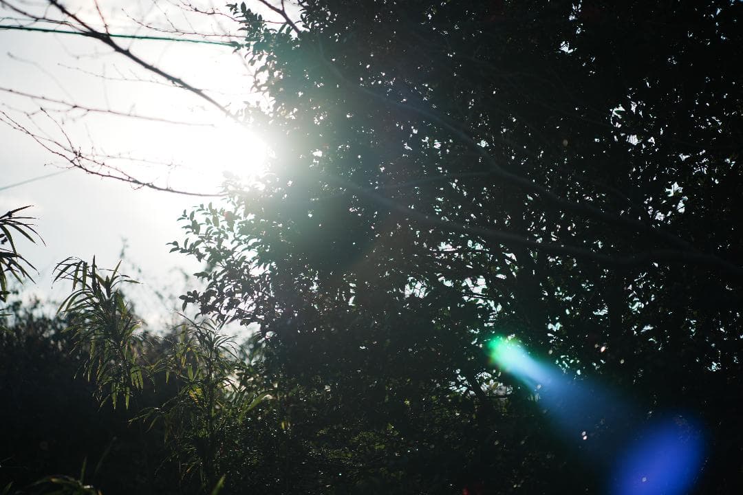 【整備＆テスト】Nikon Ai-s Nikkor 105mm F2.5 899