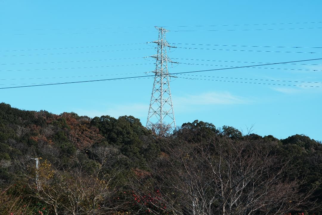 【整備＆テスト】Nikon Ai-s Nikkor 105mm F2.5 899