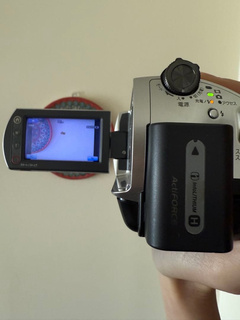 SONY Handycam デジタルビデオカメラ(40GB) DCR-SR300