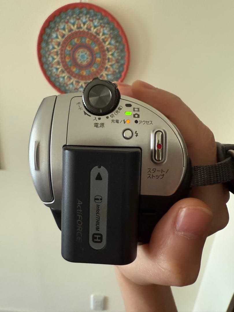 SONY Handycam デジタルビデオカメラ(40GB) DCR-SR300