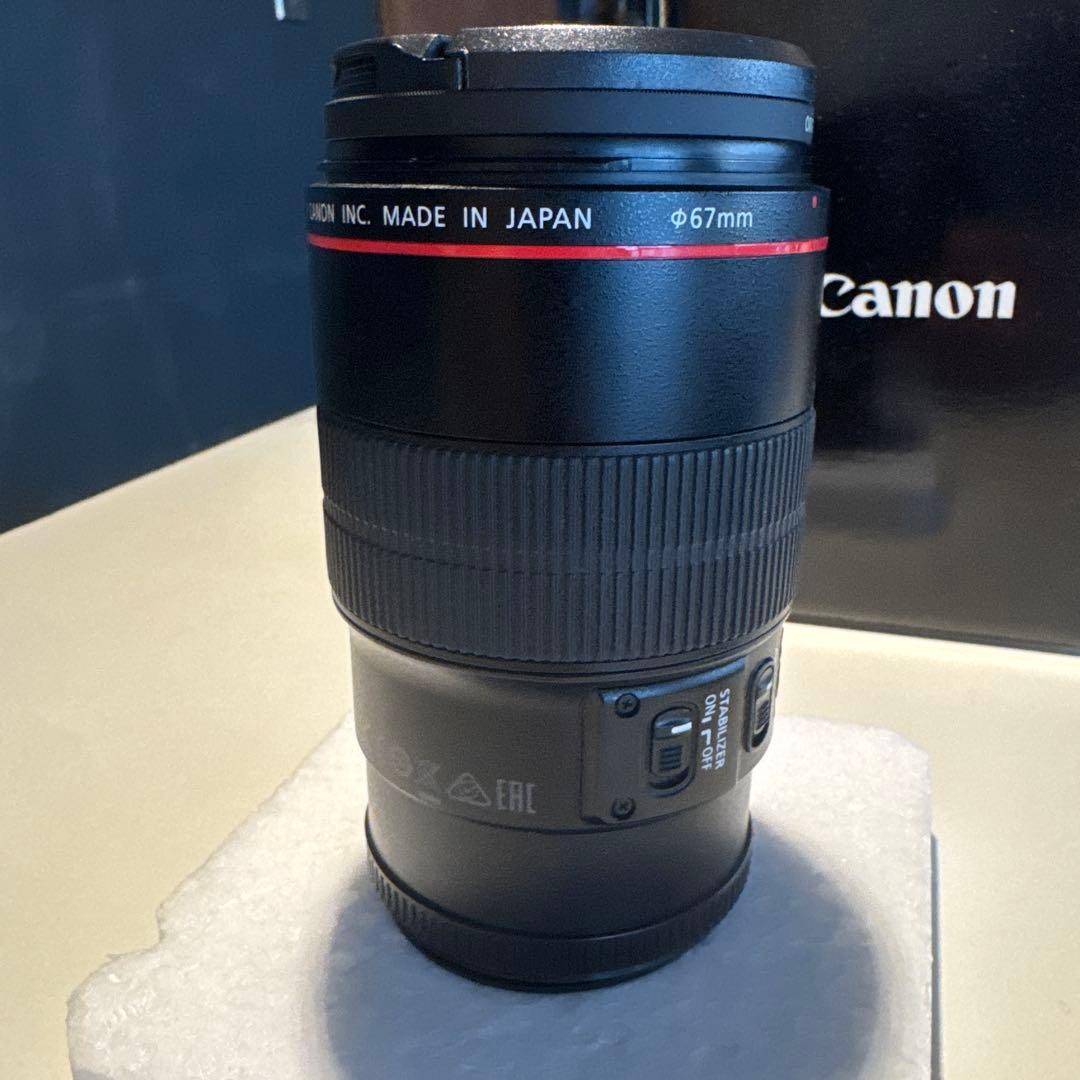 Firefly 　　Canon EF 100mm f/2.8L Macro