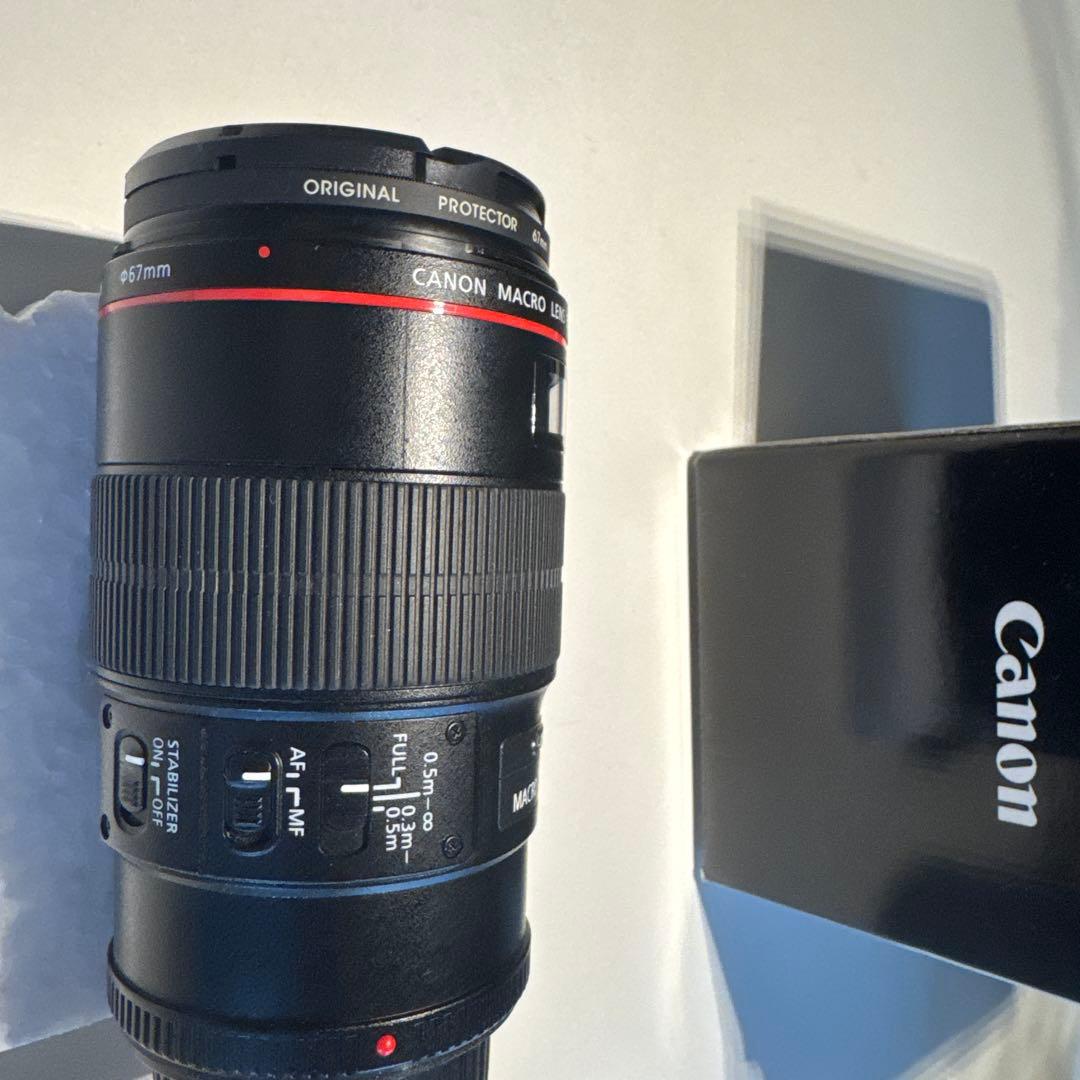 Firefly 　　Canon EF 100mm f/2.8L Macro