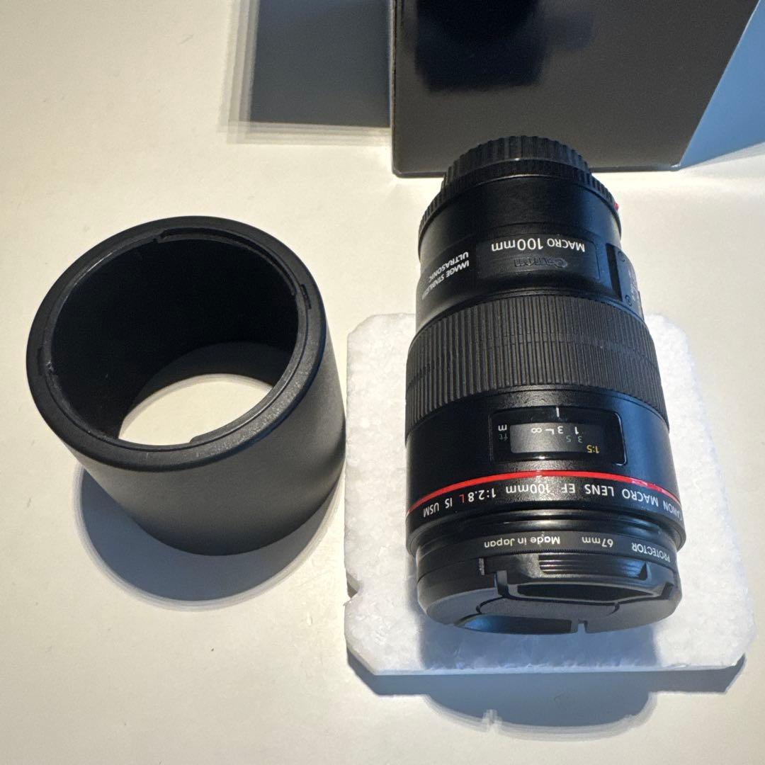 Firefly 　　Canon EF 100mm f/2.8L Macro