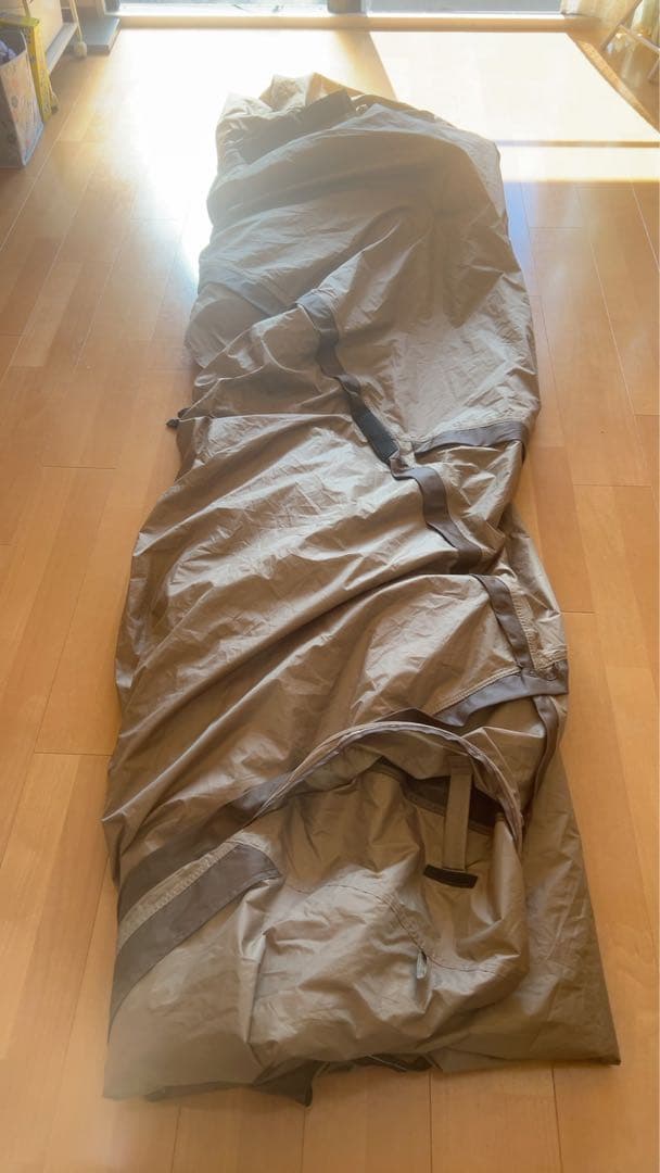 ogawa Vigas-Ⅱ(ヴィガス2)