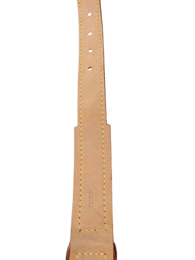 Louis Vuitton 中型犬用首輪とリードセット