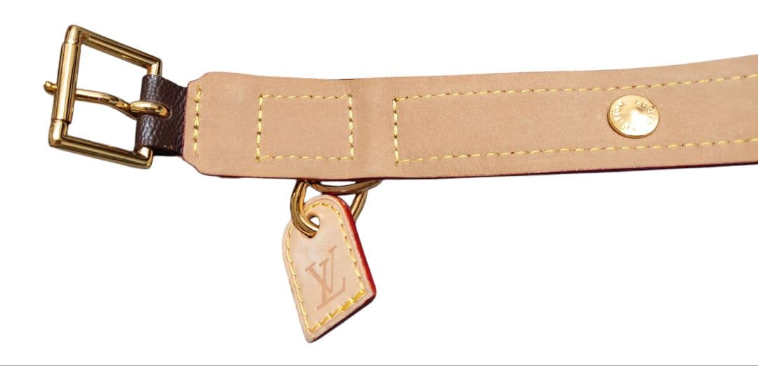 Louis Vuitton 中型犬用首輪とリードセット