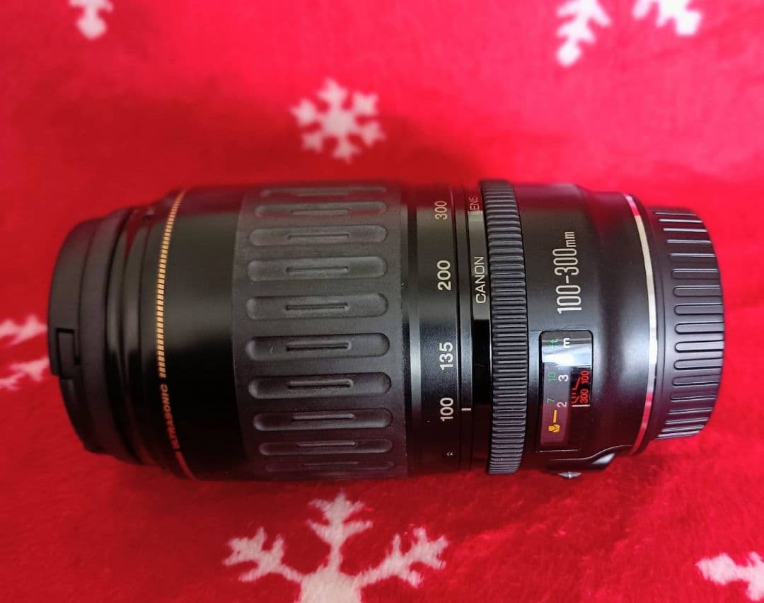 キャノンEOS Kiss Digital N 望遠レンズセット