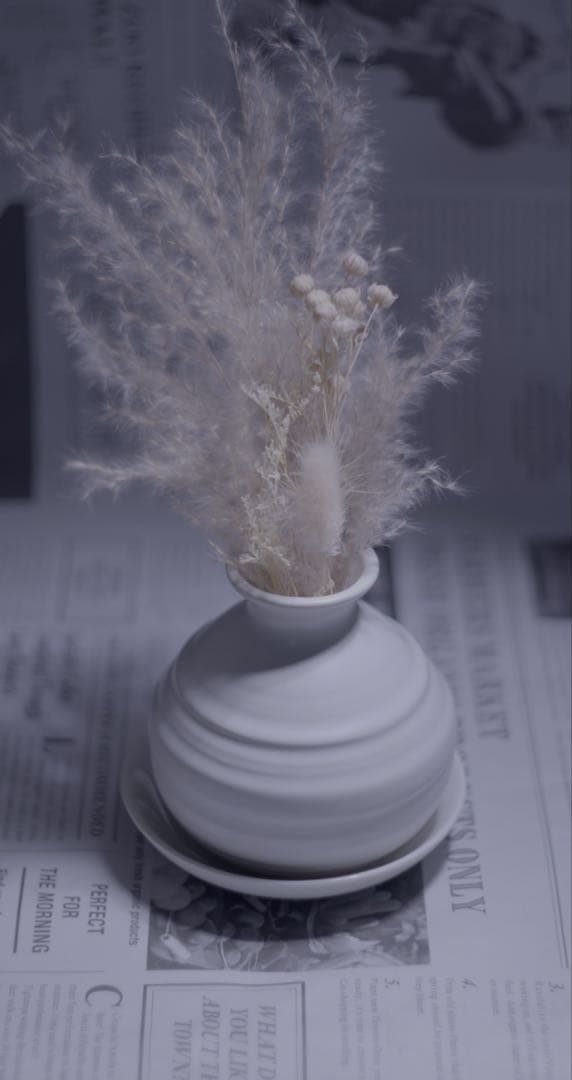 レンズ(単焦点) ISCO GOTTINGEN WESTROMAT 50mm f1.9 m42