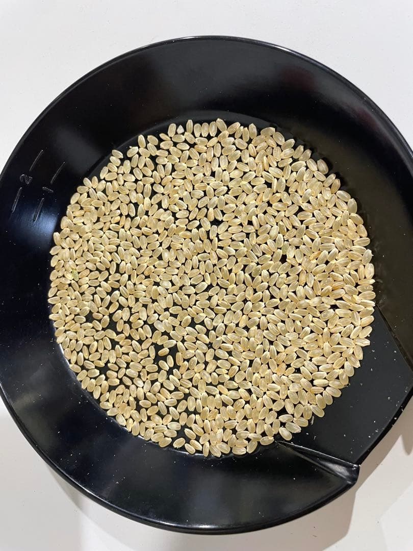 新米コシヒカリ　令和7年　富山県産