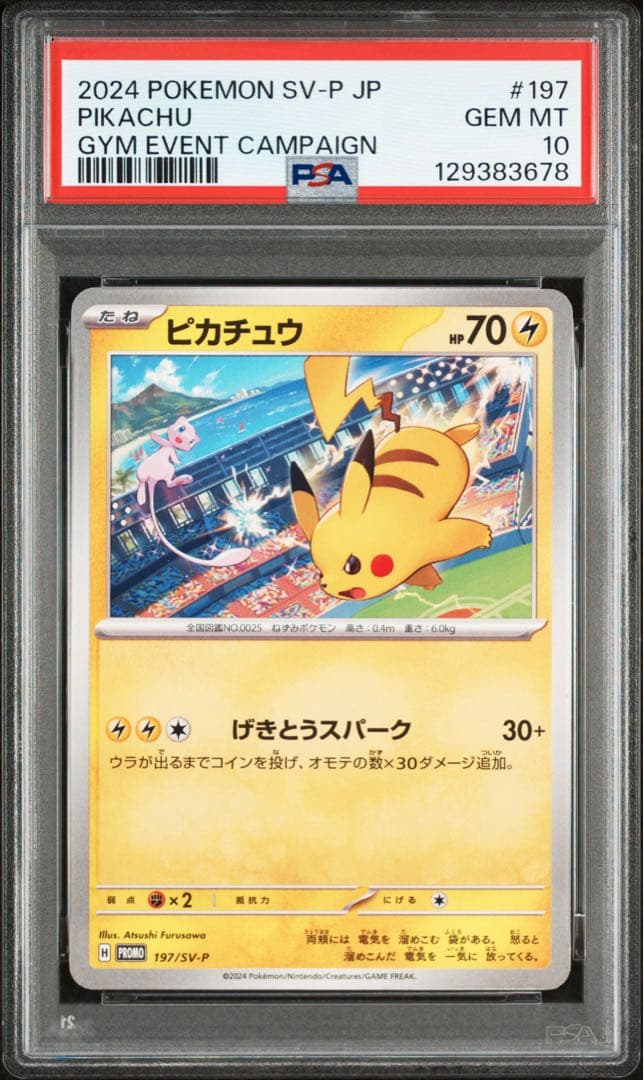【PSA10 連番】 ピカチュウプロモ げきとうスパーク　2023 & 2024