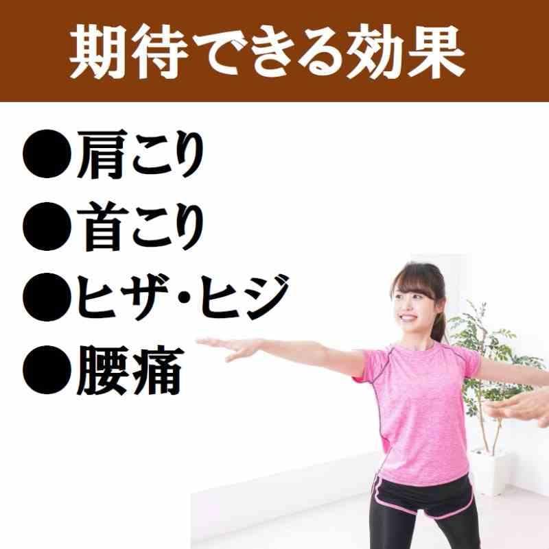 ゲルマニウム粒　肩こり　首こり　腰痛　ひざ　ひじ　プチシルマ　エレキバン 磁気