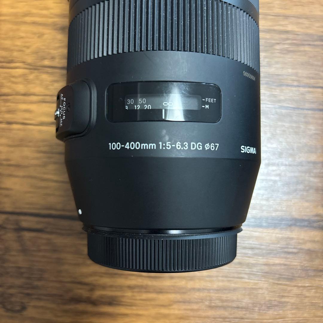 SIGMA 100-400mm F5-6.3 DG レンズ
