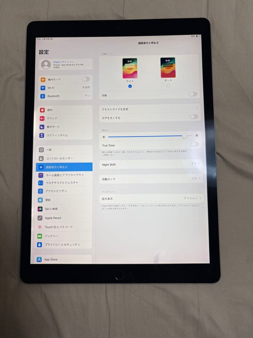 iPad Pro 12.9インチ 第2世代 512GB バテッリー容量92%