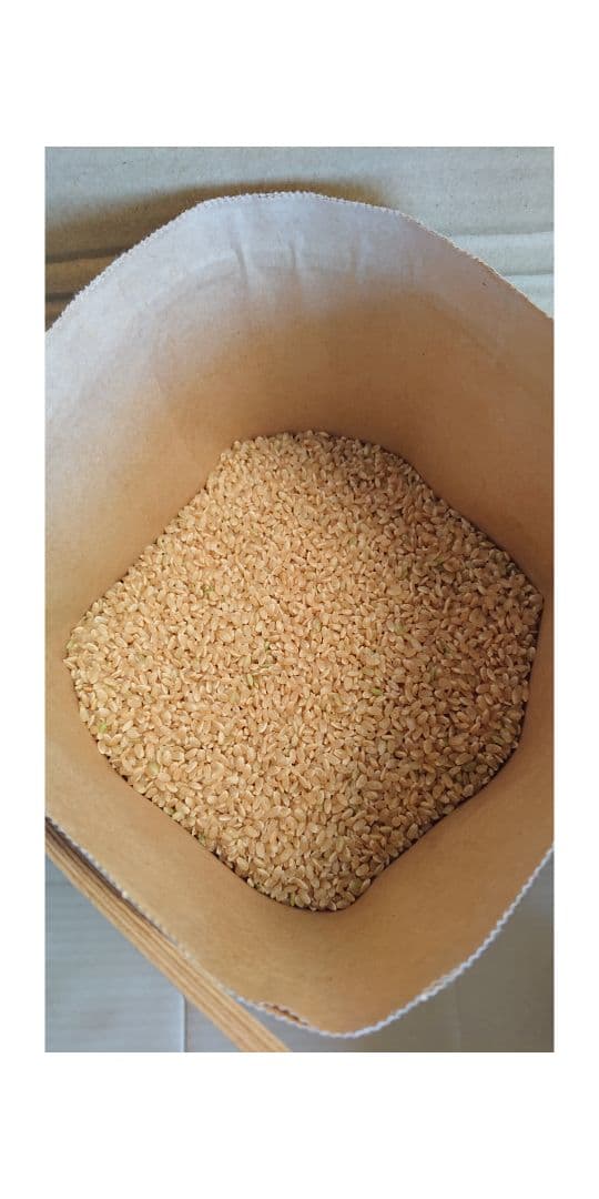 令和7年 三重県産コシヒカリ 20㎏