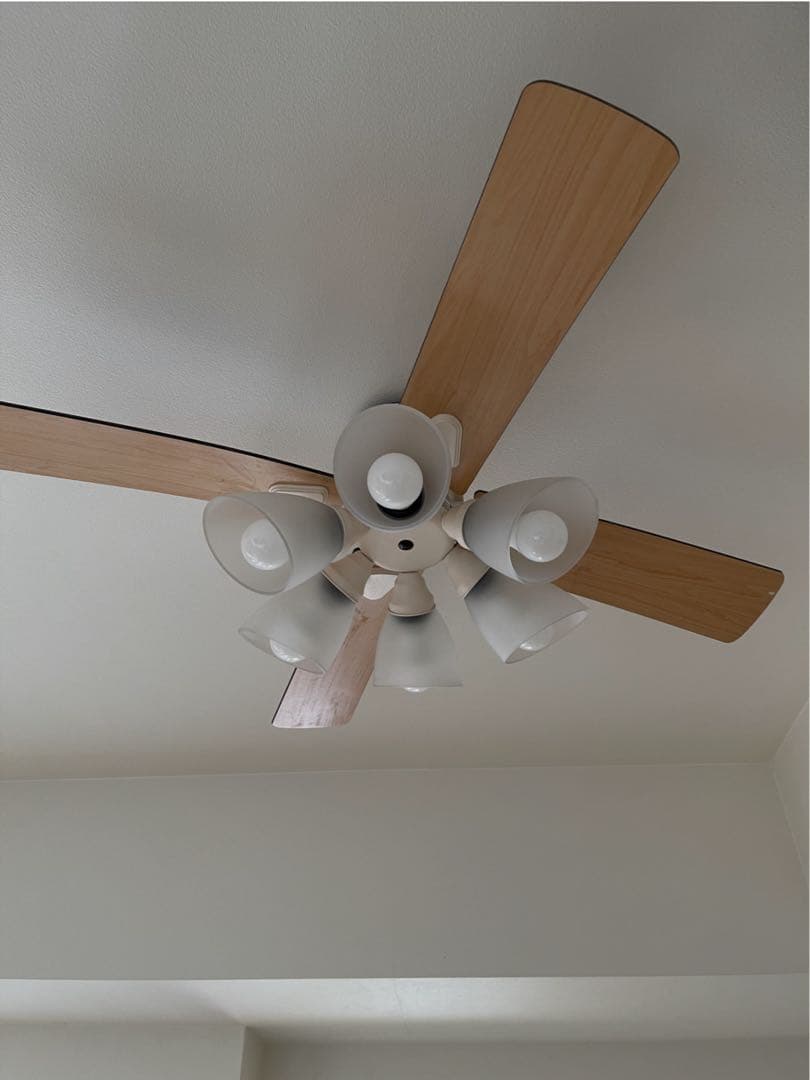 10畳Windouble 6灯シーリングファンライト リモコン付き BIG102