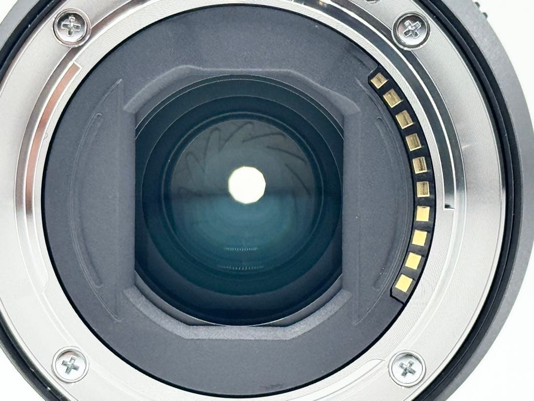 SONY FE 16mm F1.8 G SEL16F18G 超広角 単焦点