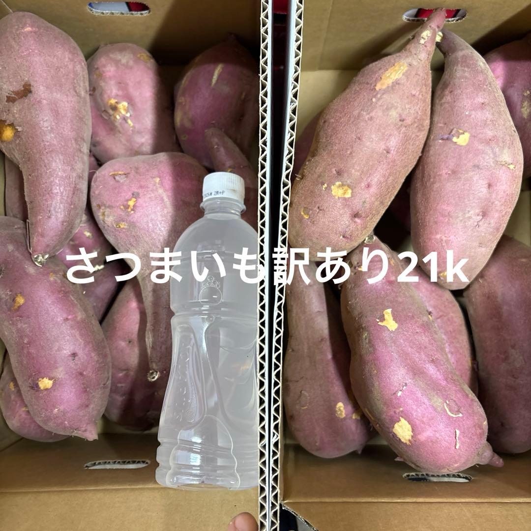 さつまいも訳あり21kお得品