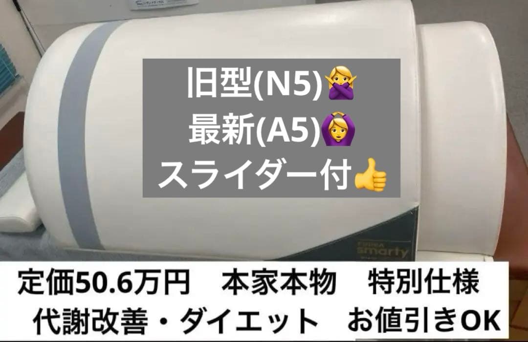 スマーティ　定価約51万円　スライダー仕様　最新モデル　正規店購入　サウナドーム