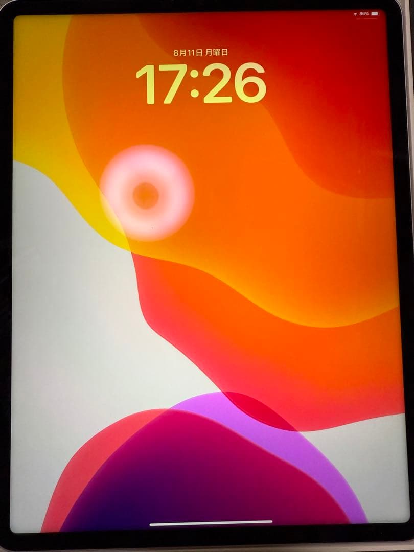 【美品・交換済本体】iPad Pro 12.9 第5世代 シルバー 256GB