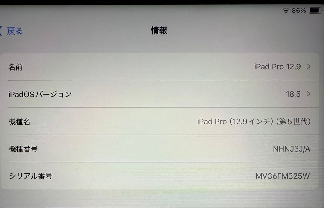 【美品・交換済本体】iPad Pro 12.9 第5世代 シルバー 256GB