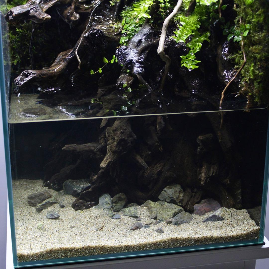 るりぃい　オーダー作品　アクアテラリウム