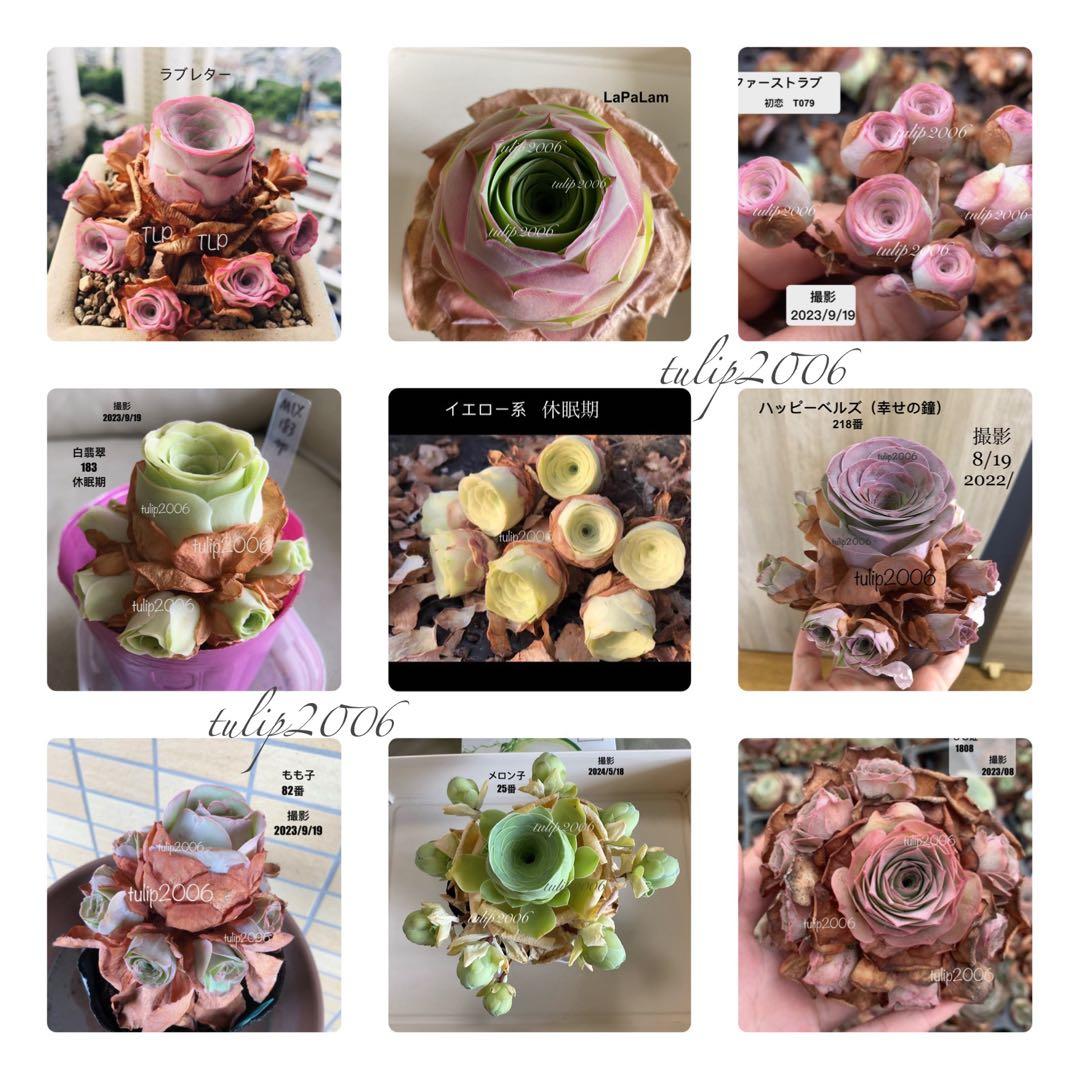 くまさん様 リクエスト 3点 まとめ商品