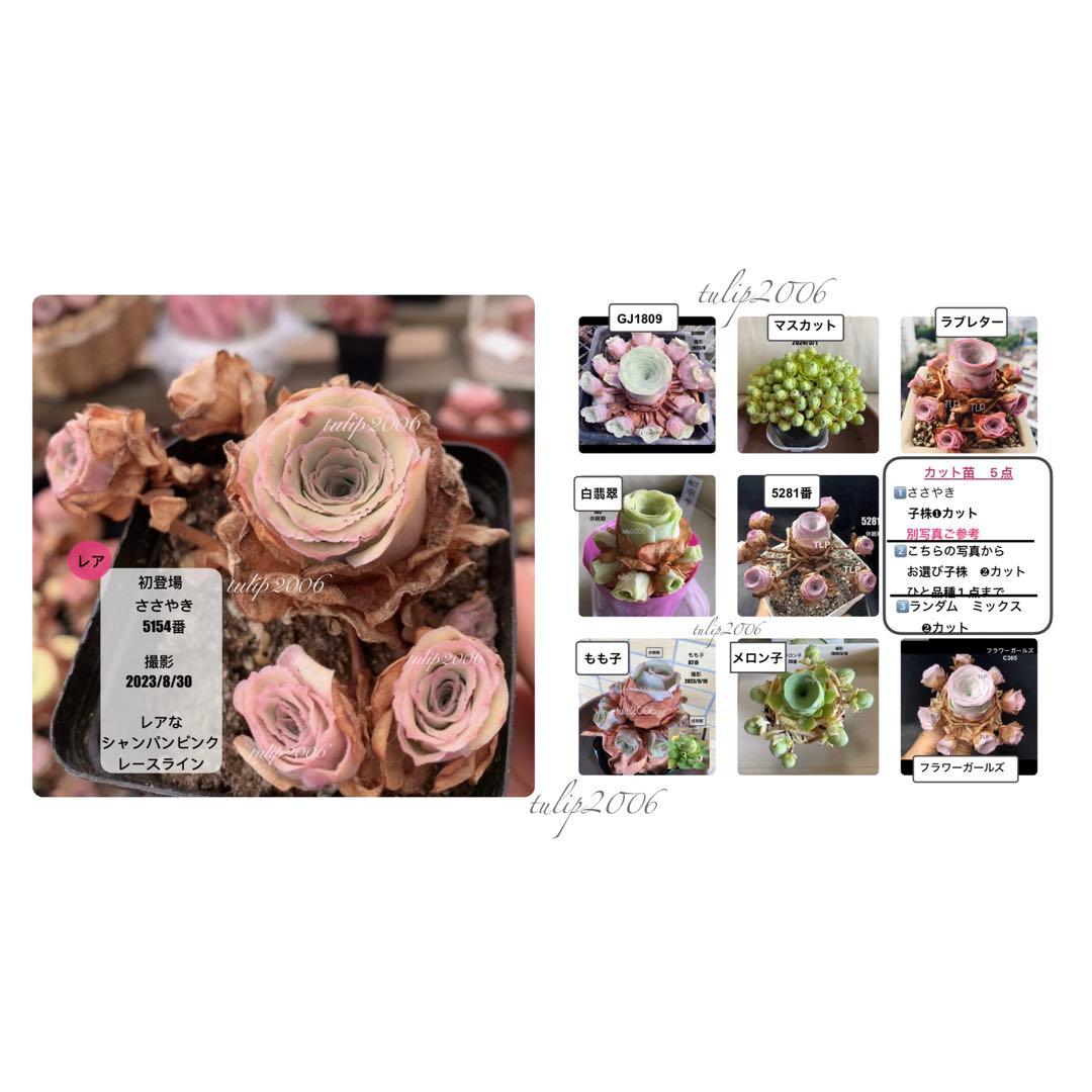 くまさん様 リクエスト 3点 まとめ商品