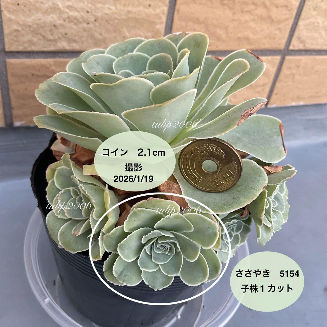 くまさん様 リクエスト 3点 まとめ商品