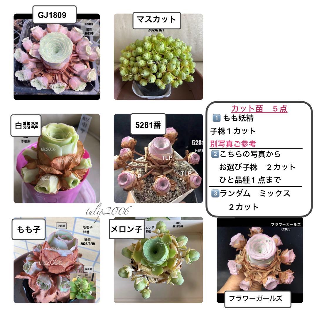 くまさん様 リクエスト 3点 まとめ商品