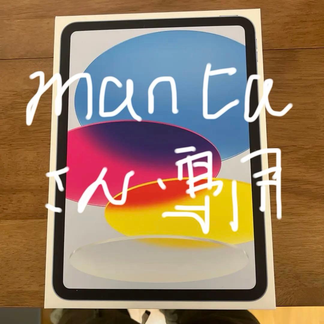 iPad本体 Apple iPad (A16) 256GB Wi-Fi + Cellular