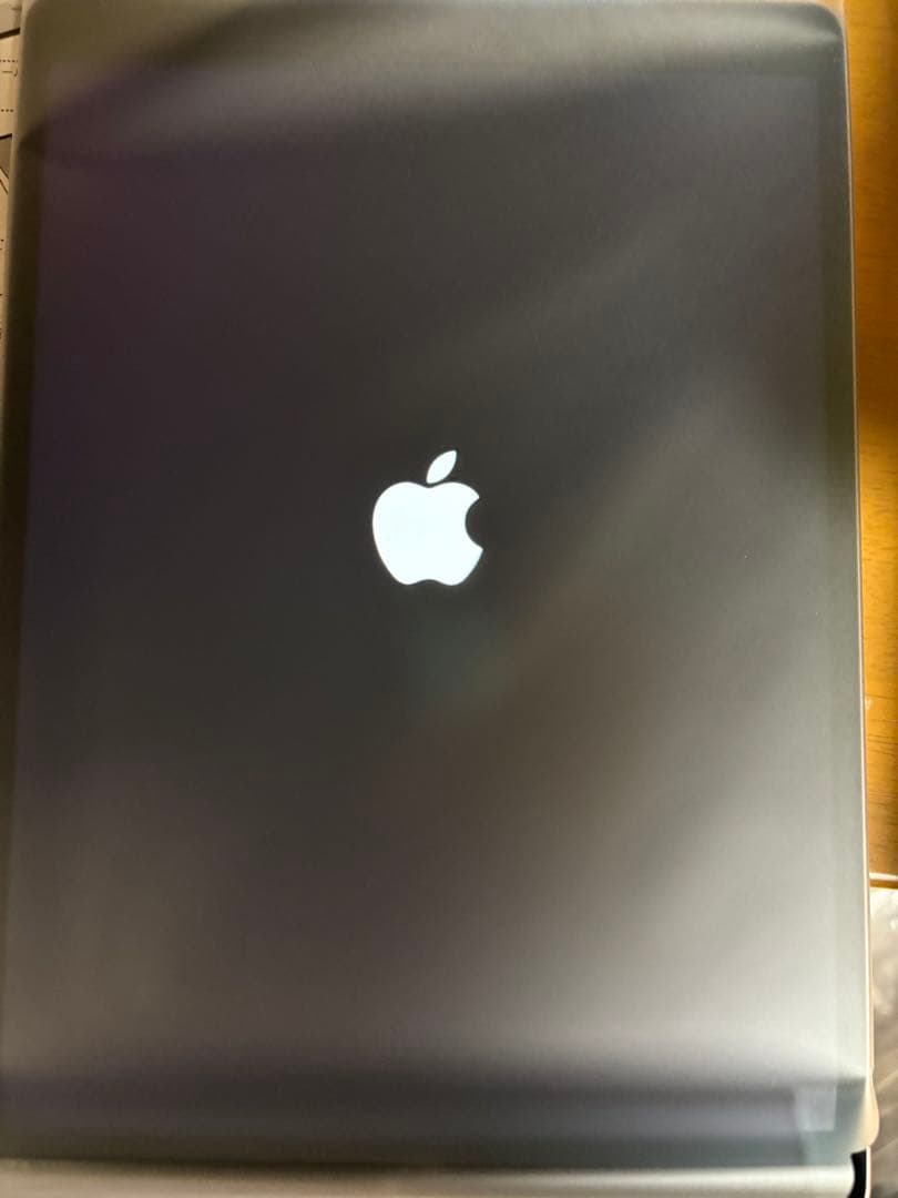 iPad本体 iPad Pro 10.5 512GB Wi-Fi+Cellular A1709