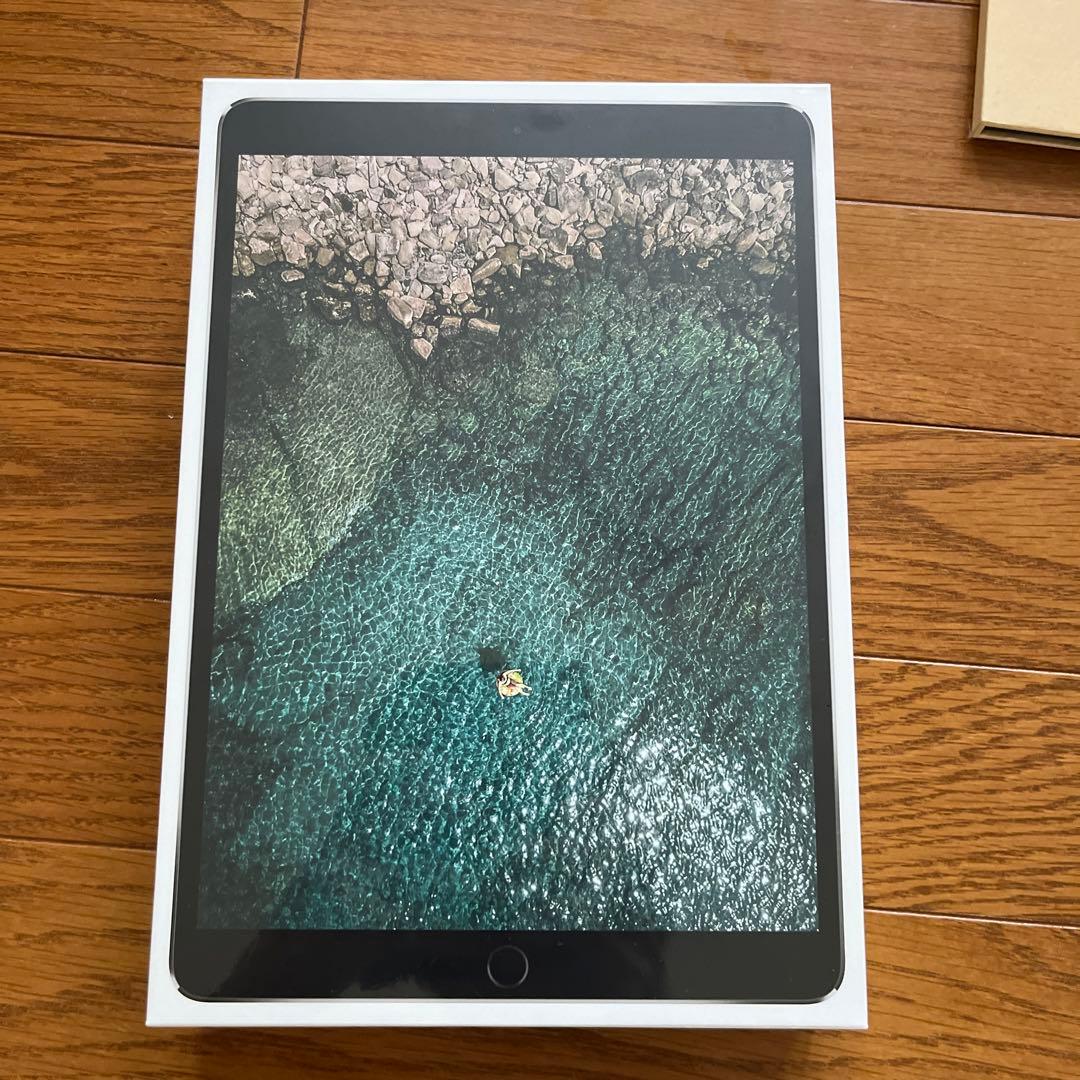 iPad本体 iPad Pro 10.5 512GB Wi-Fi+Cellular A1709