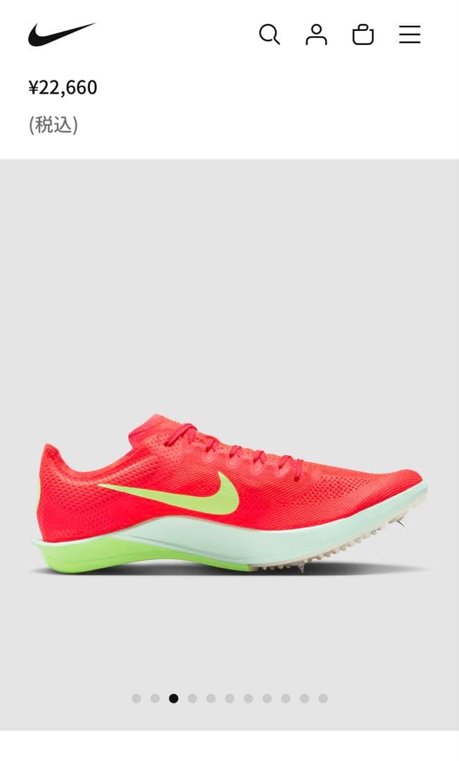 新品　最安値　NIKE ドラゴンフライ 2 袋　ピン付き