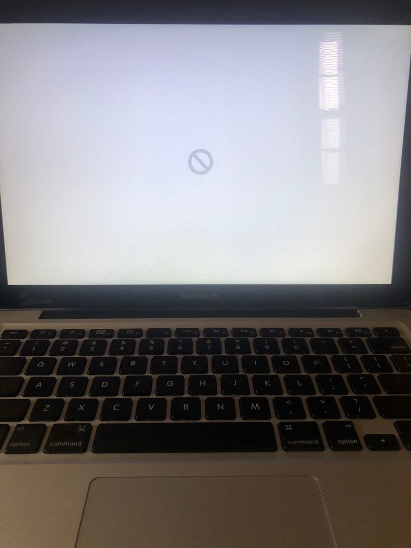 MacBook Pro 本体　SSD256GB搭載