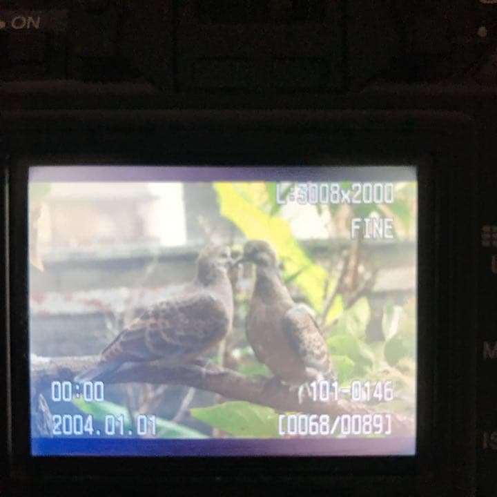 コニカミノルタ アルファ7 DIGITAL