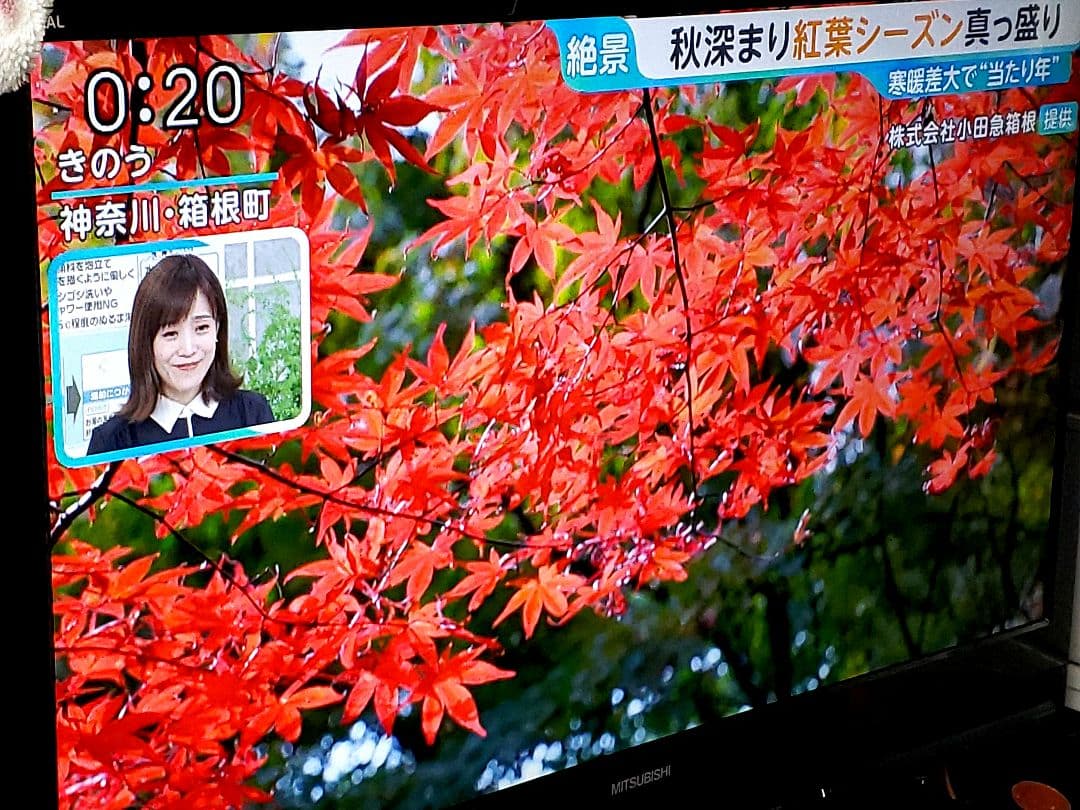 ❤️三菱ハイビジョンテレビ❤️40インチ❤️ブルーレイディスクレコーダー内蔵