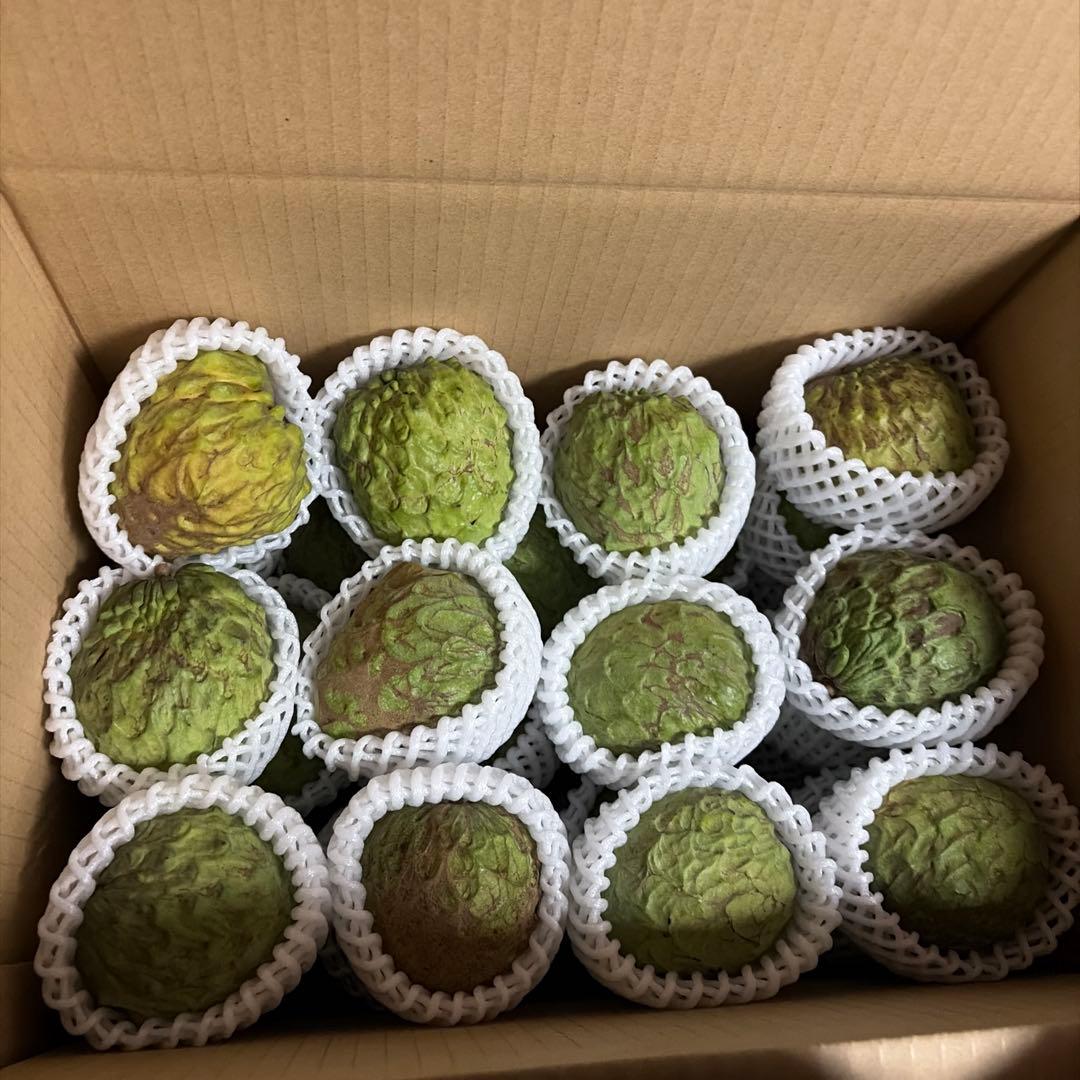 箱番号10.アテモヤ　　小さなサイズ7kg