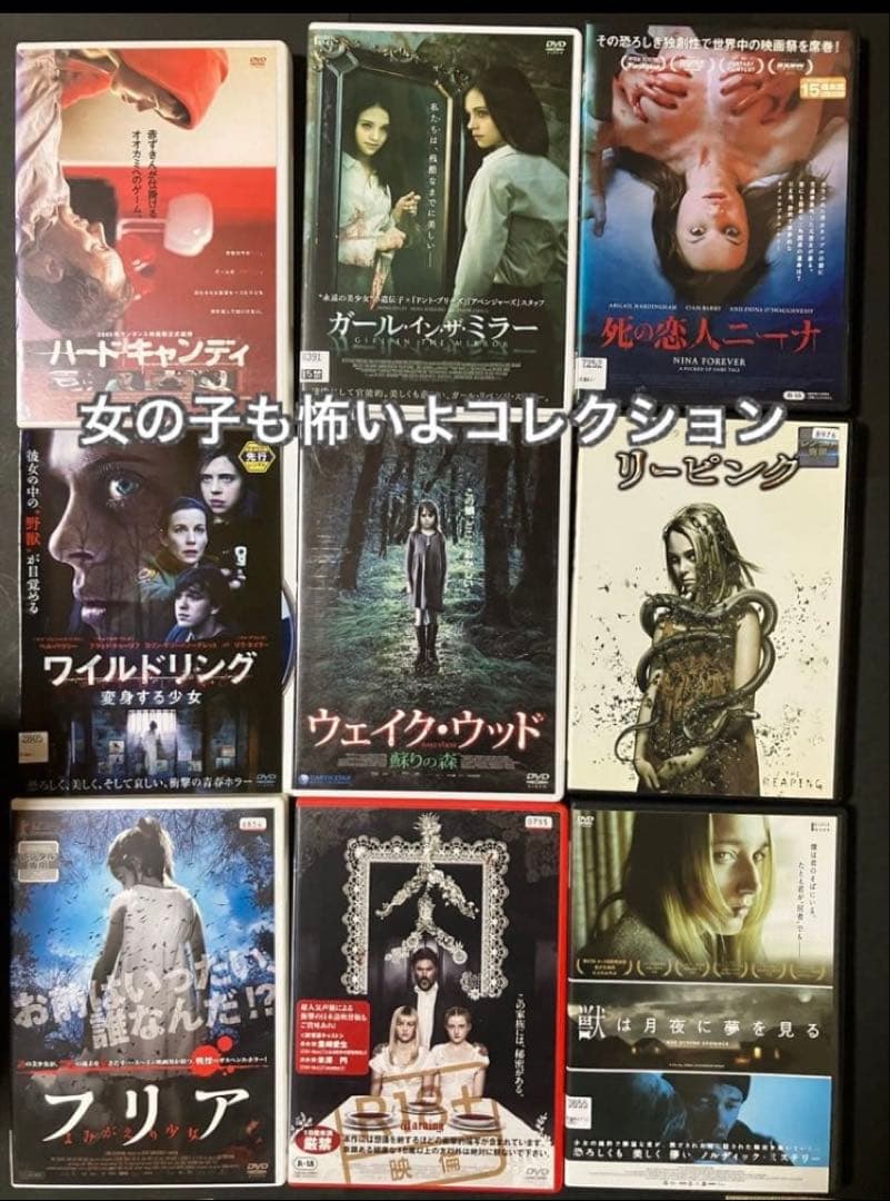 DVD Blu-ray ハロウィン　ミーガン　死霊館　ソウ　好きにオススメ！