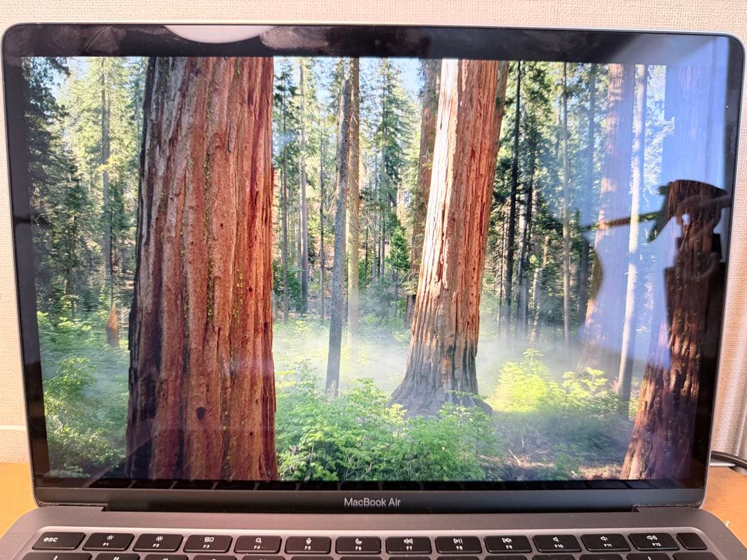 Apple MacBook Air m1 13インチ バッテリー93%