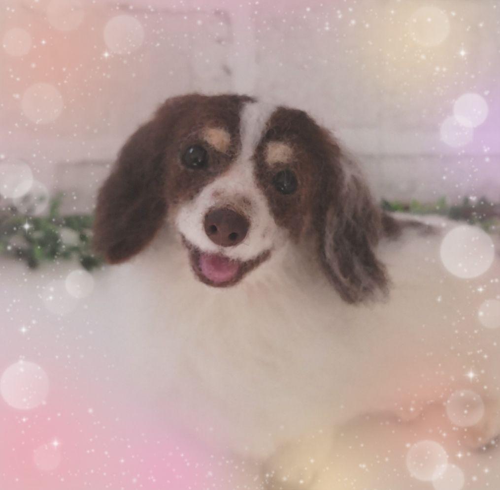 merry♡うちの子オーダー♡羊毛フェルト♪ハンドメイド☆