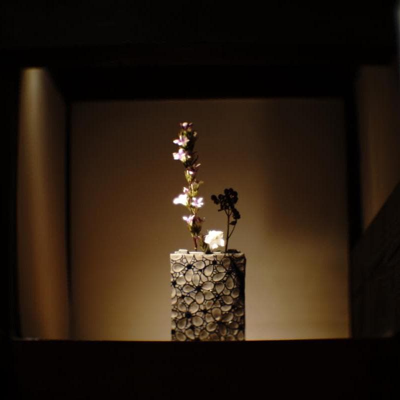 絵画主義‼️ SEMFLEX 6X6 Som Berthiot