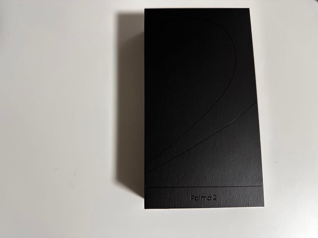 Palma 2 電子書籍リーダー 本体