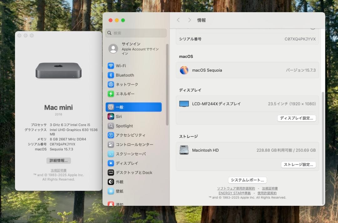 Macデスクトップ Mac mini 2018 i5 / 8GB / 250GB A1993