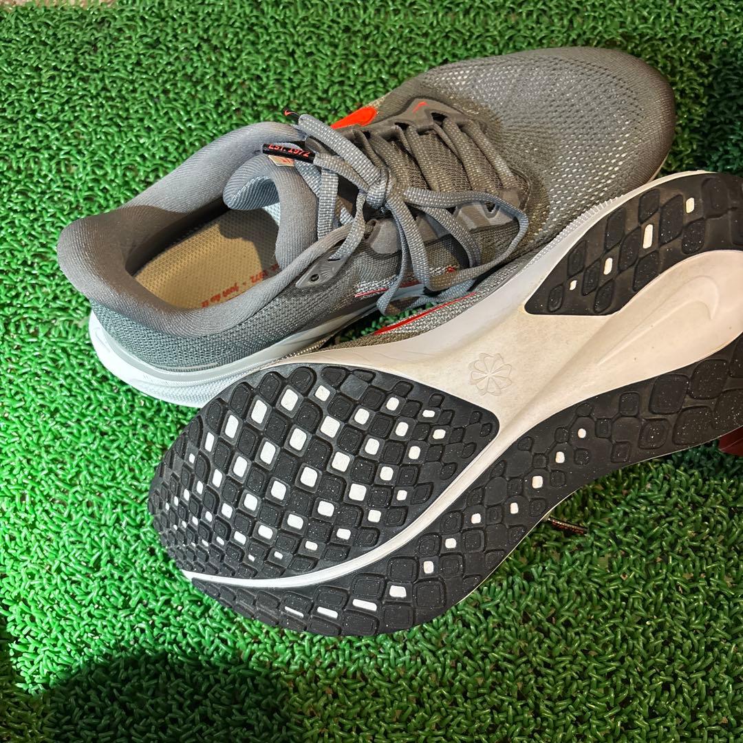 Nike NIKE ペガサス41 ワイド　26.5cm