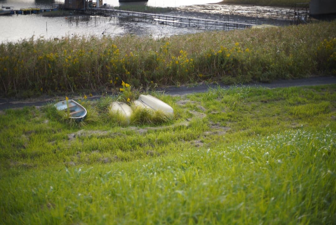 レンズ(単焦点) Super Takumer 50mm f1.4