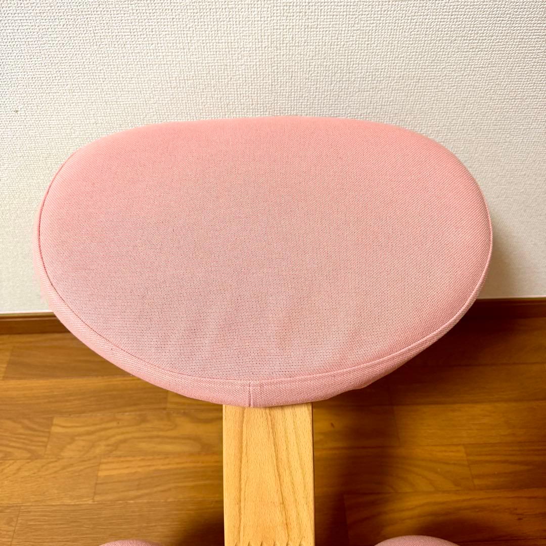 【minipham】 バランスイージー Rybo リボ社 カバー付き