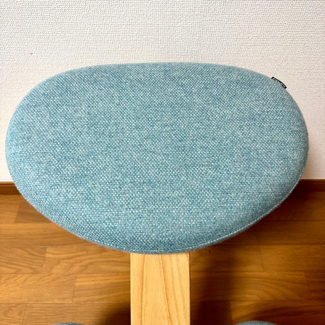 【minipham】 バランスイージー Rybo リボ社 カバー付き